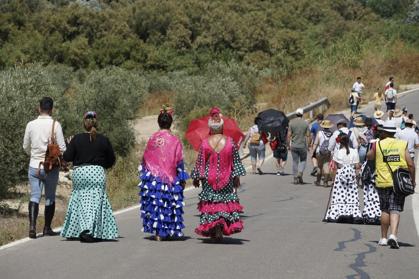 Las mejores imágenes de la romería de la Virgen de los Remedios en Aguilar de la Frontera