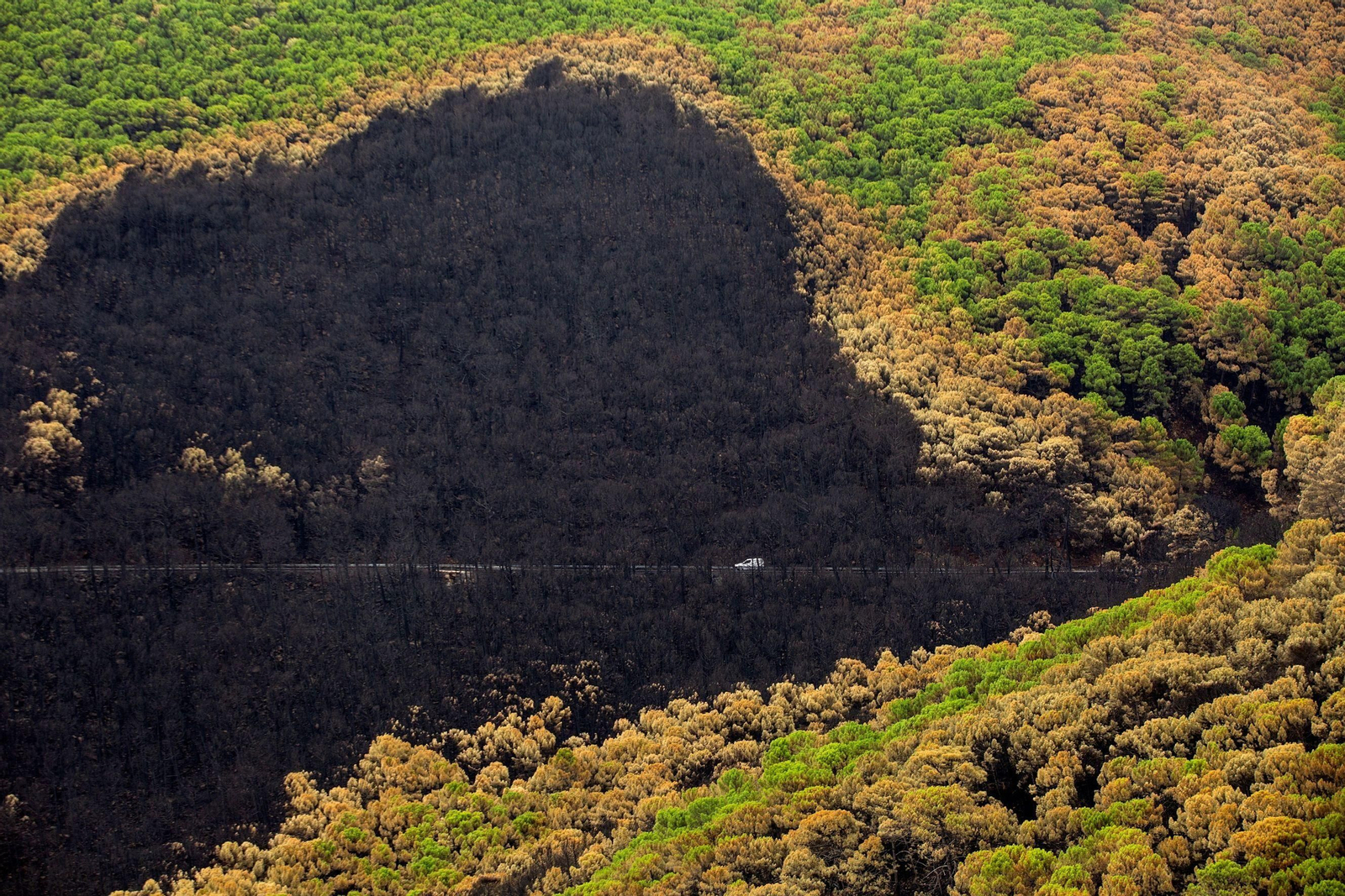 Un coche circula por una de las zonas devastadas por el fuego.