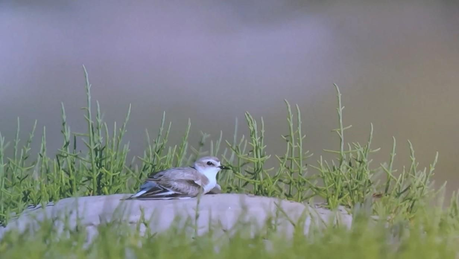 Una de las imágenes de la exposición