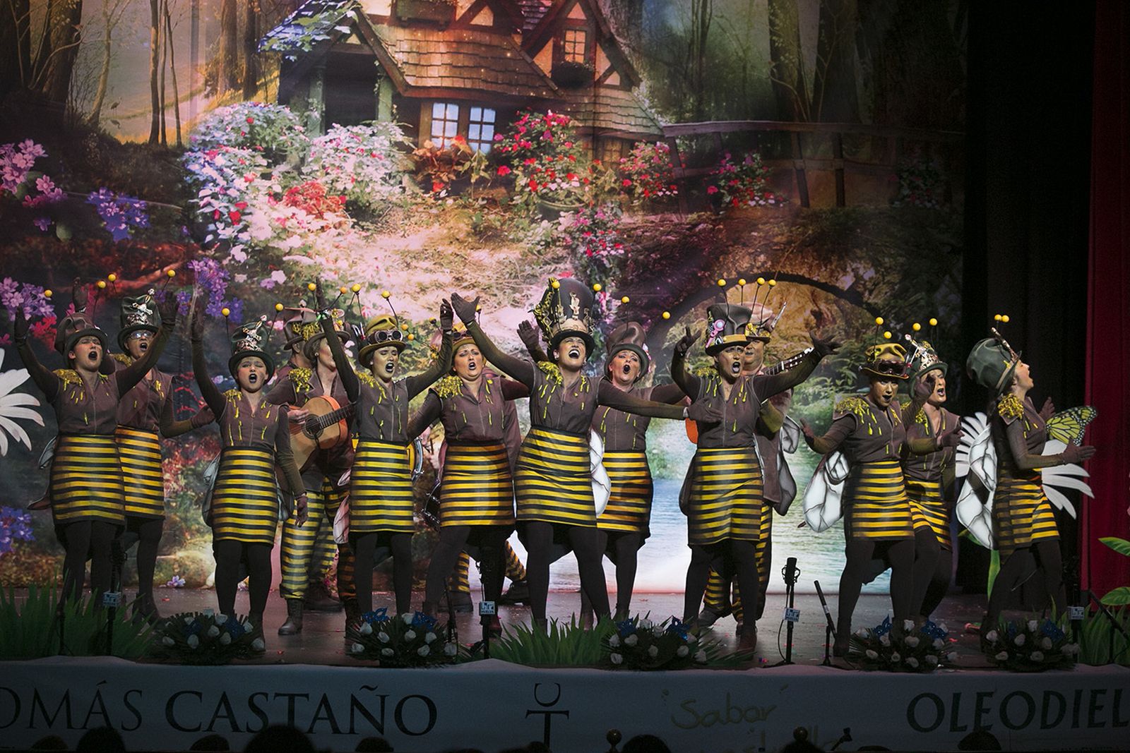 Las imágenes de la octava preliminar del Carnaval Colombino