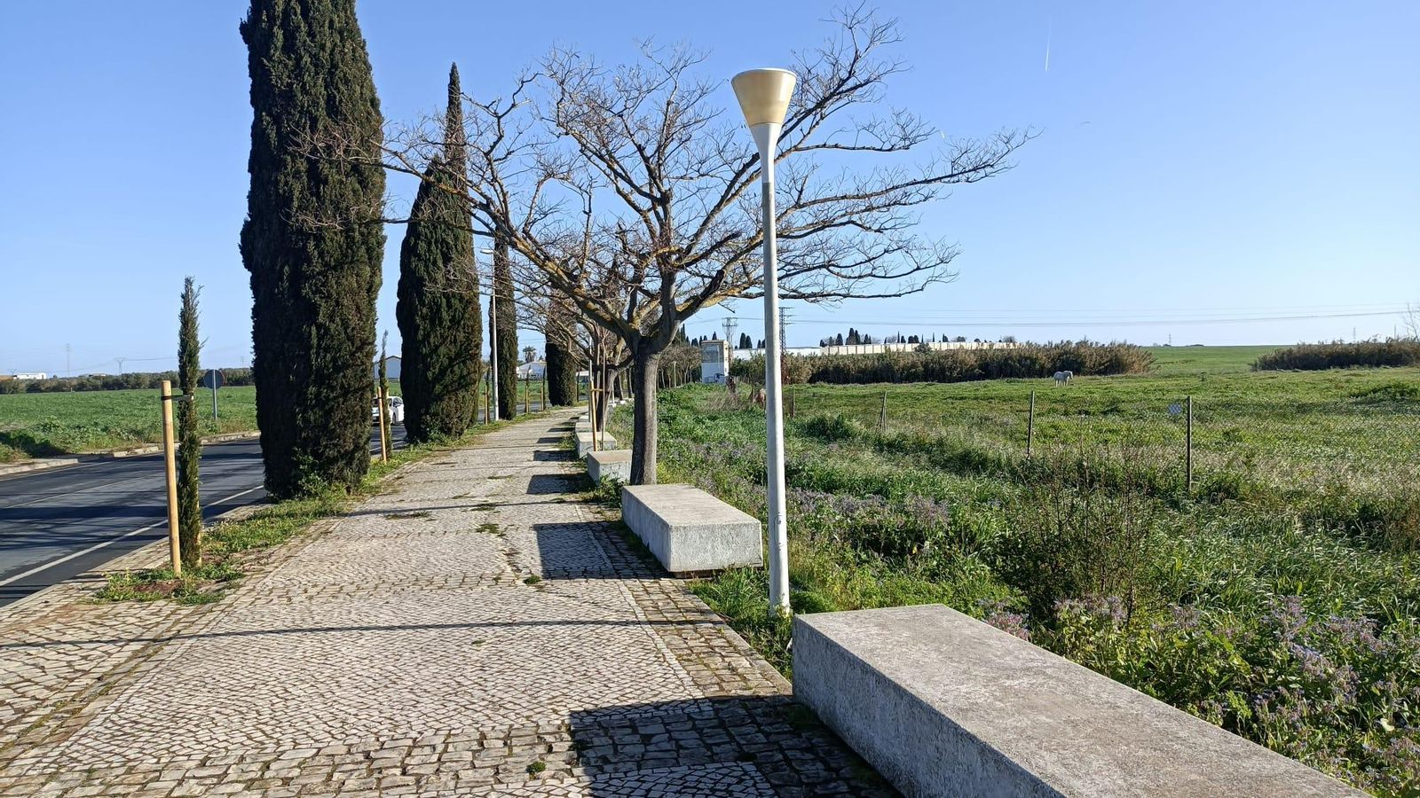 El tramo hasta el Cementerio de Nuestra Señora de la Soledad va por acera.