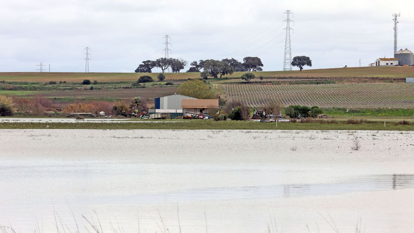 El Guadalete comienza a bajar su nivel poco a poco por la zona rural de Jerez