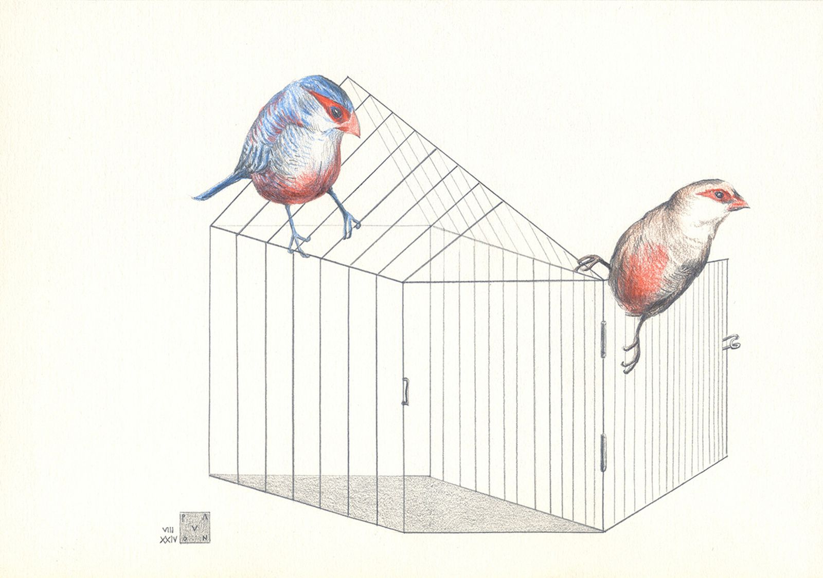 Sergio Pavón, 'La Jaula'