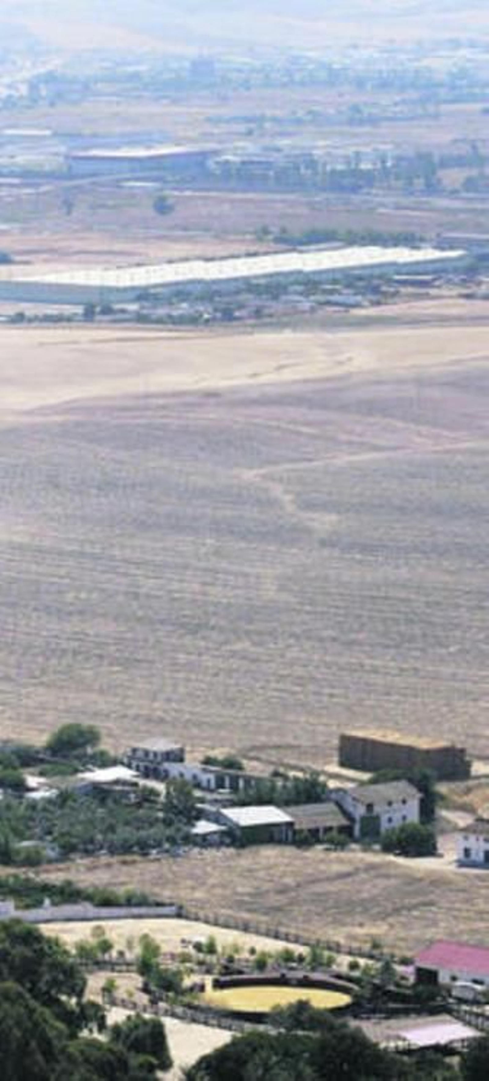 Las aves de Colecor, desde la carretera de Trassierra.