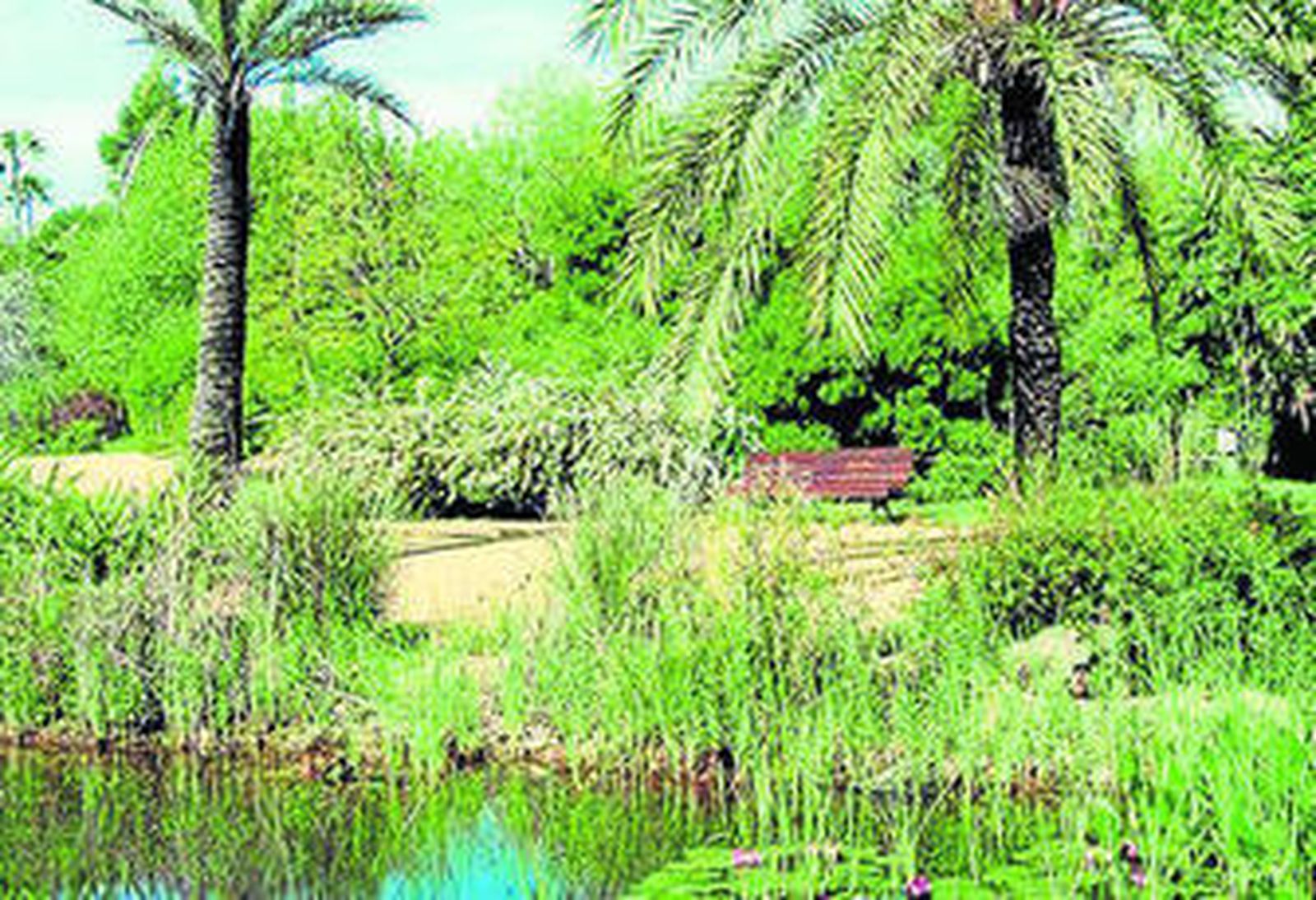El jardín botánico El Arboreto de El Carambolo fue creado en 1986.