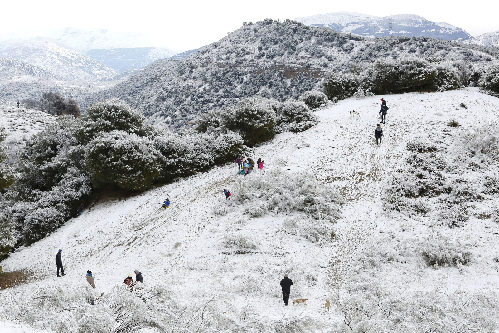 Fotos: la borrasca Filomena hace que Granada amanezca cubierta de nieve por primera vez este 2021