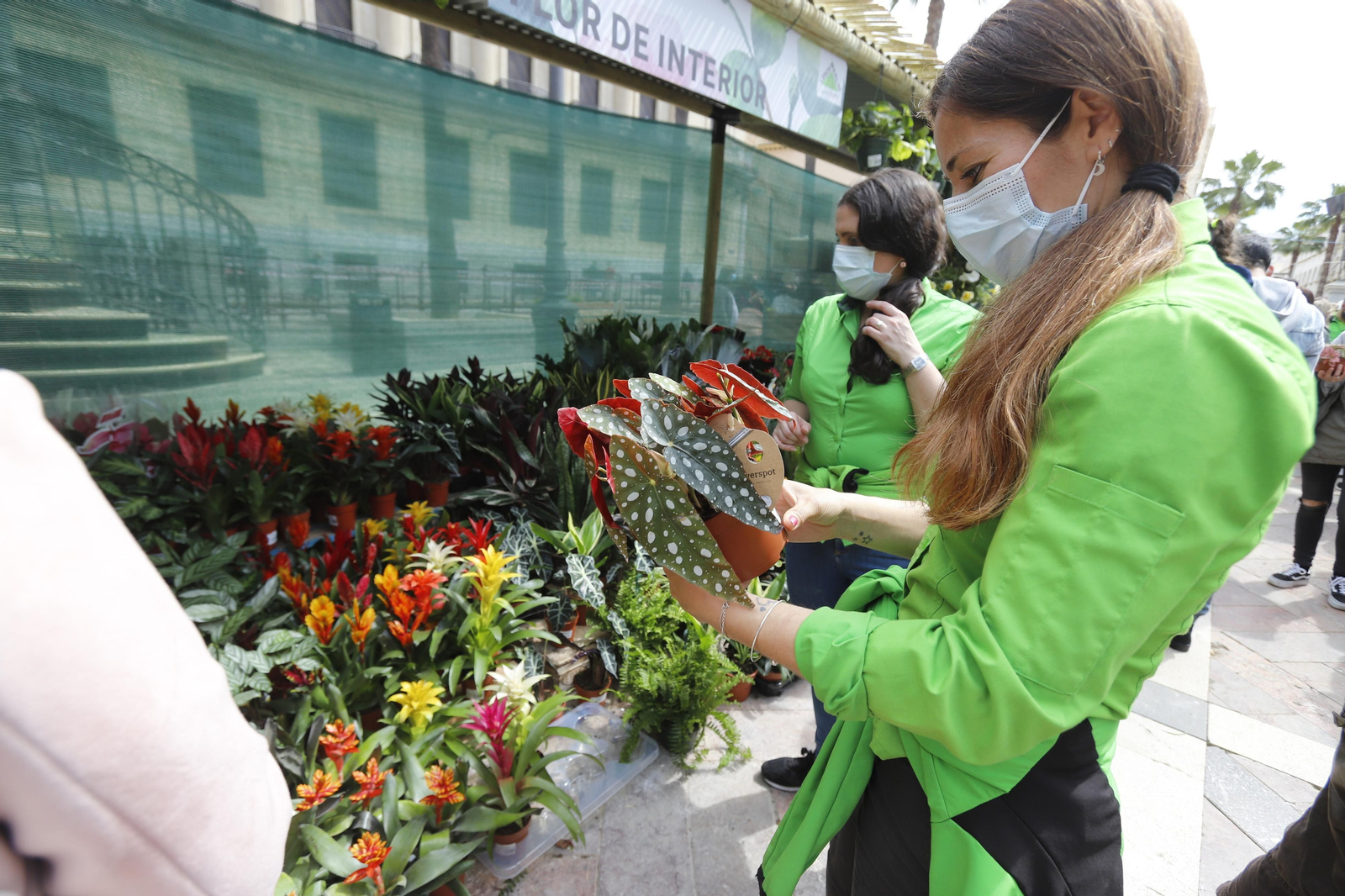 Imágenes del 'V Mercado de Flores y Plantas de Huelva' en la Plaza de Las Monjas