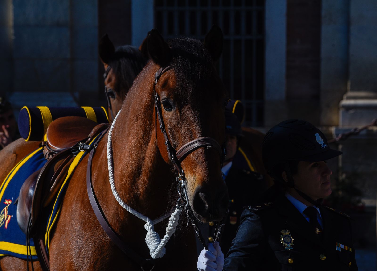 Caballería y guías caninos de la Policía Nacional celebran el patrón de los animales