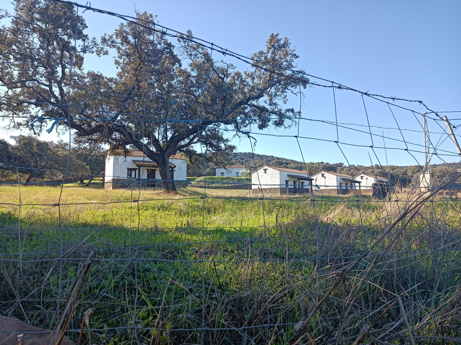 Ruta de Las Cañadillas