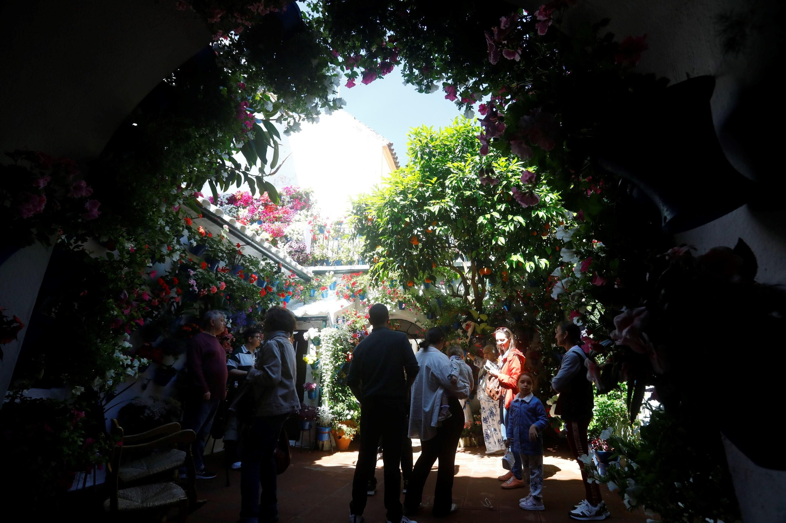 Los Patios de la Ruta de Santiago-San Pedro, en imágenes