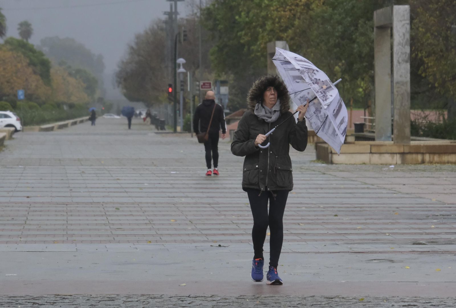 El paso de la borrasca Efraín por Córdoba, en imágenes