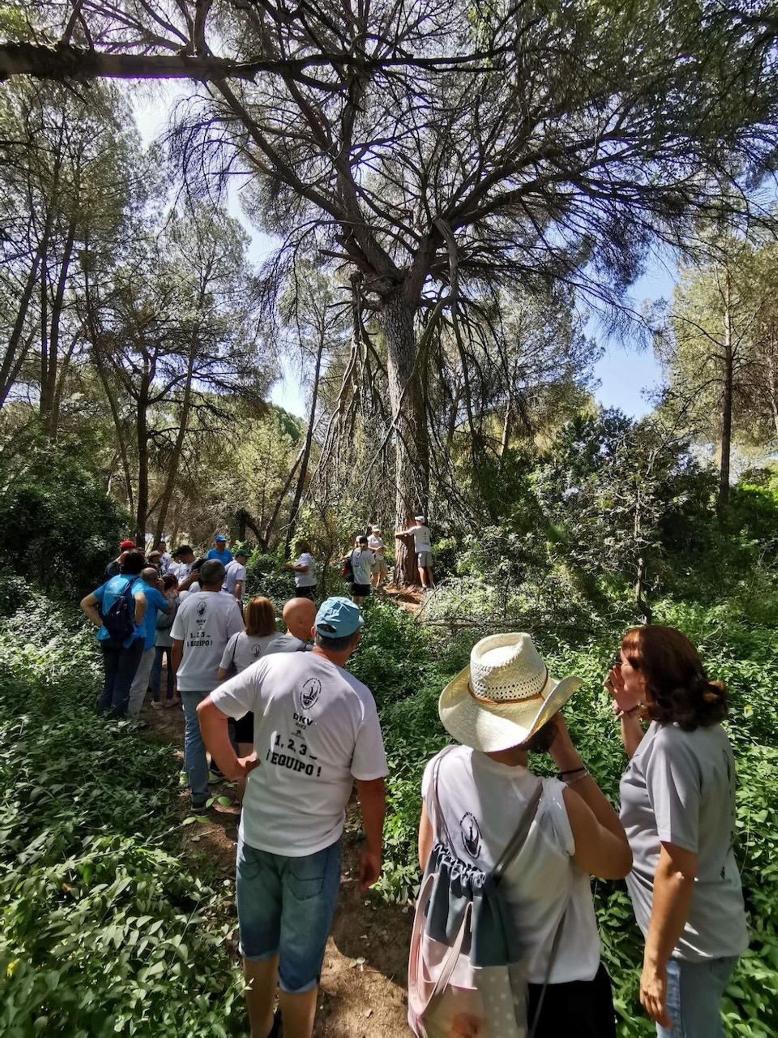 Turistas esperando a los pies de Manolo para abrazarlo