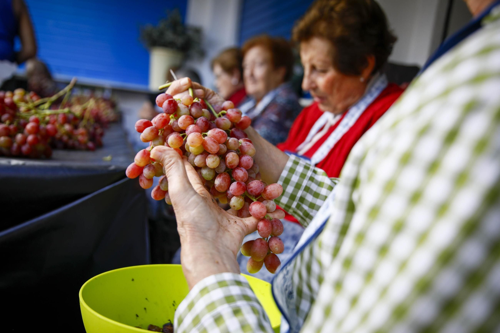 La tradicional faena de la uva de Canjayar, en imágenes