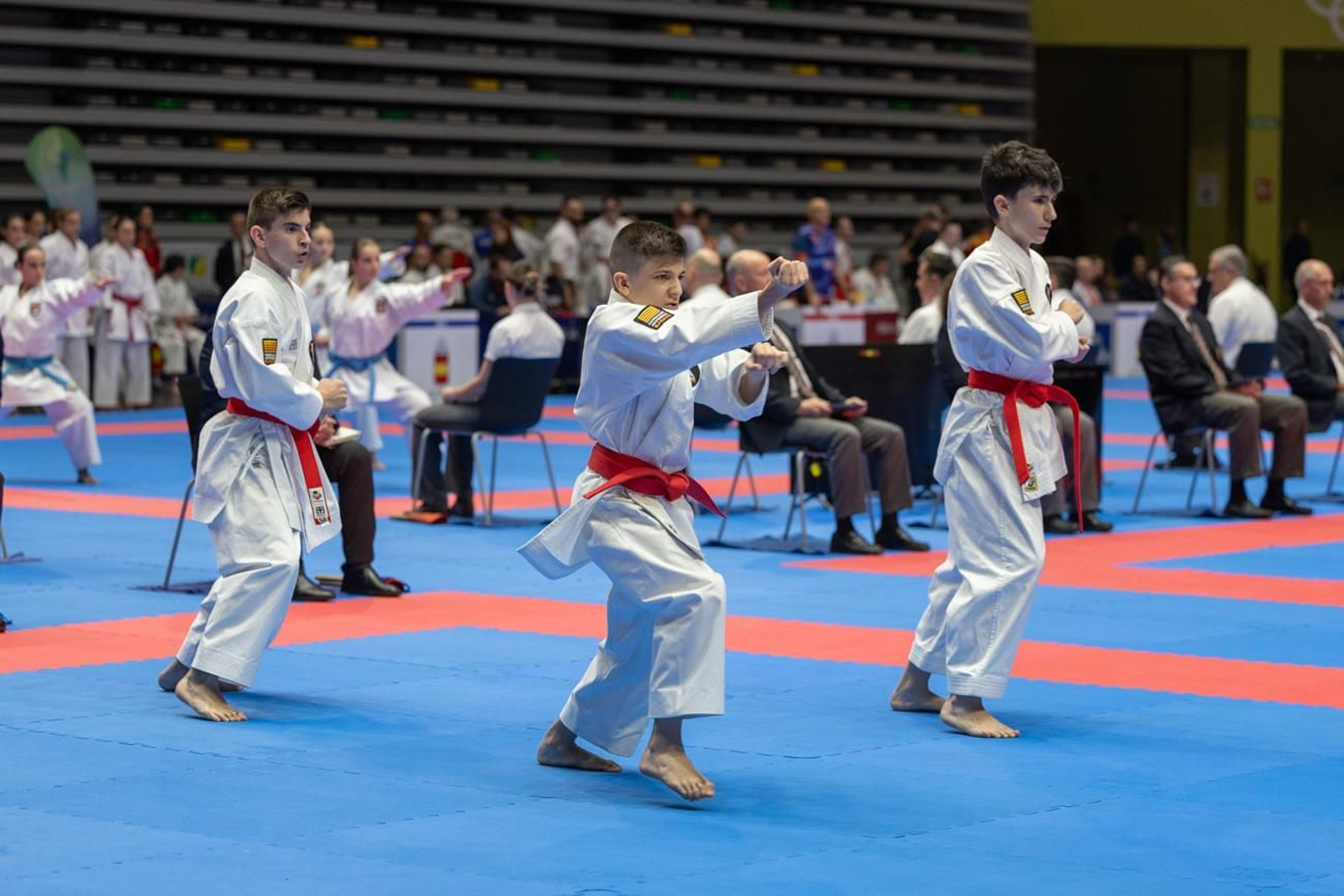 Campeonato de España de Kárate cadete, júnior y sub 21 brilla en Jaén