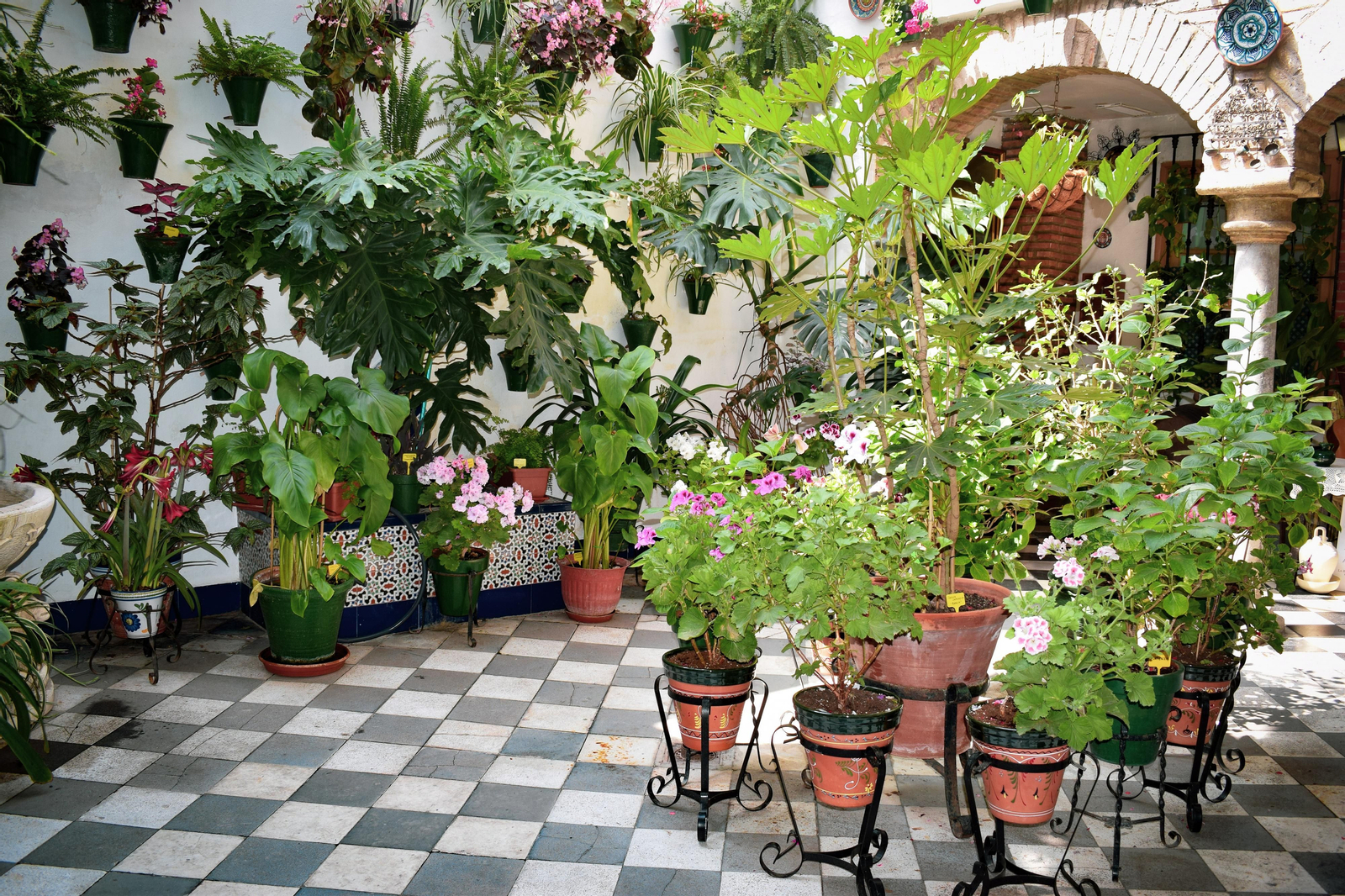 Ruta Judería- San Francisco: Céspedes 10