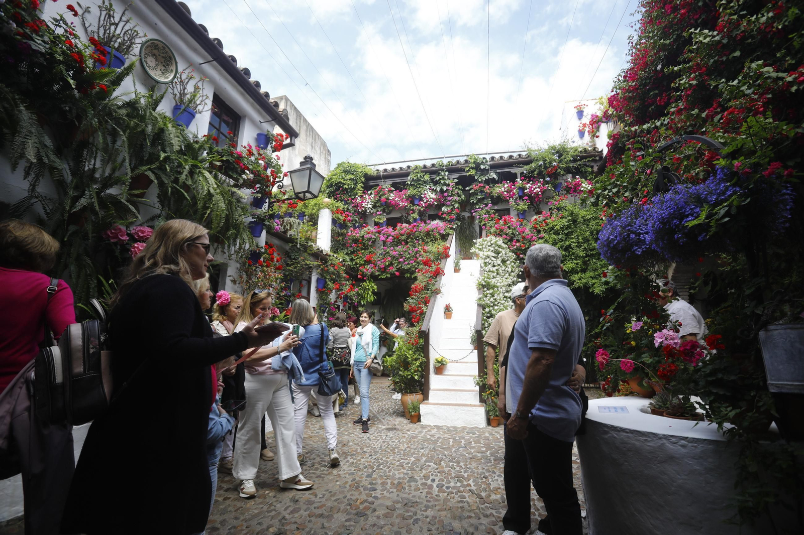 Colas e ilusión en el primer sábado de los Patios de Córdoba, en imágenes
