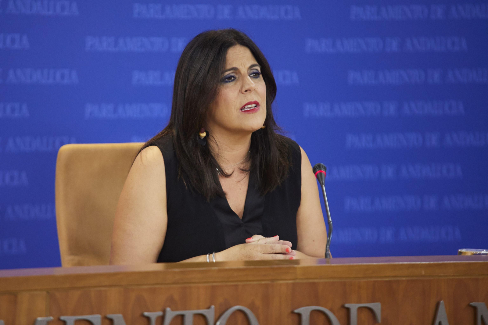 La portavoz del grupo socialista en el Parlamento, Ángeles Férriz.