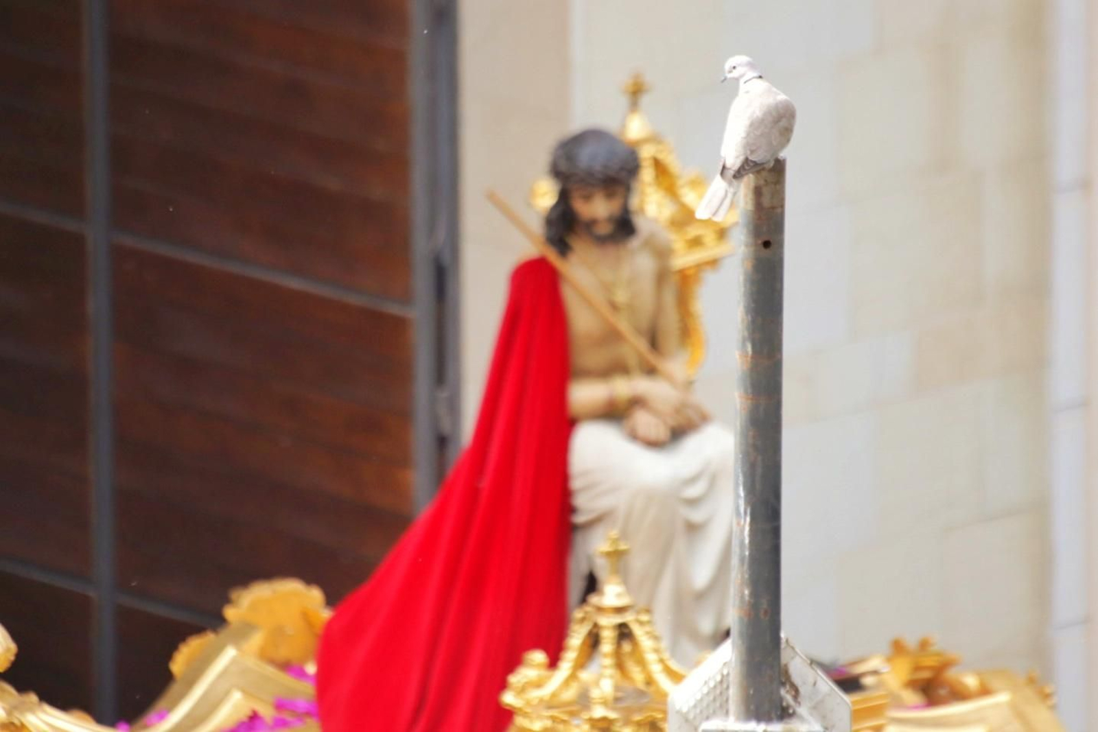 Las fotos de Estudiantes en el Lunes Santo en Málaga