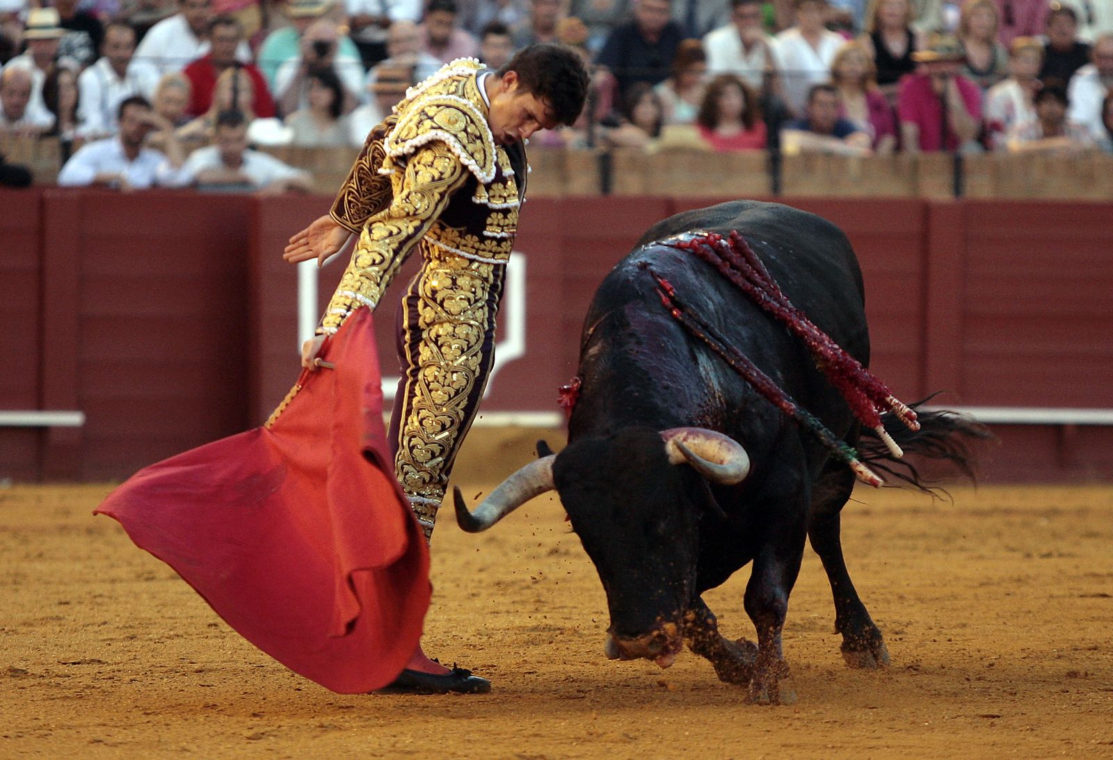 Los premios taurinos de la Fundación Caja Rural del Sur designan triunfador a Luque