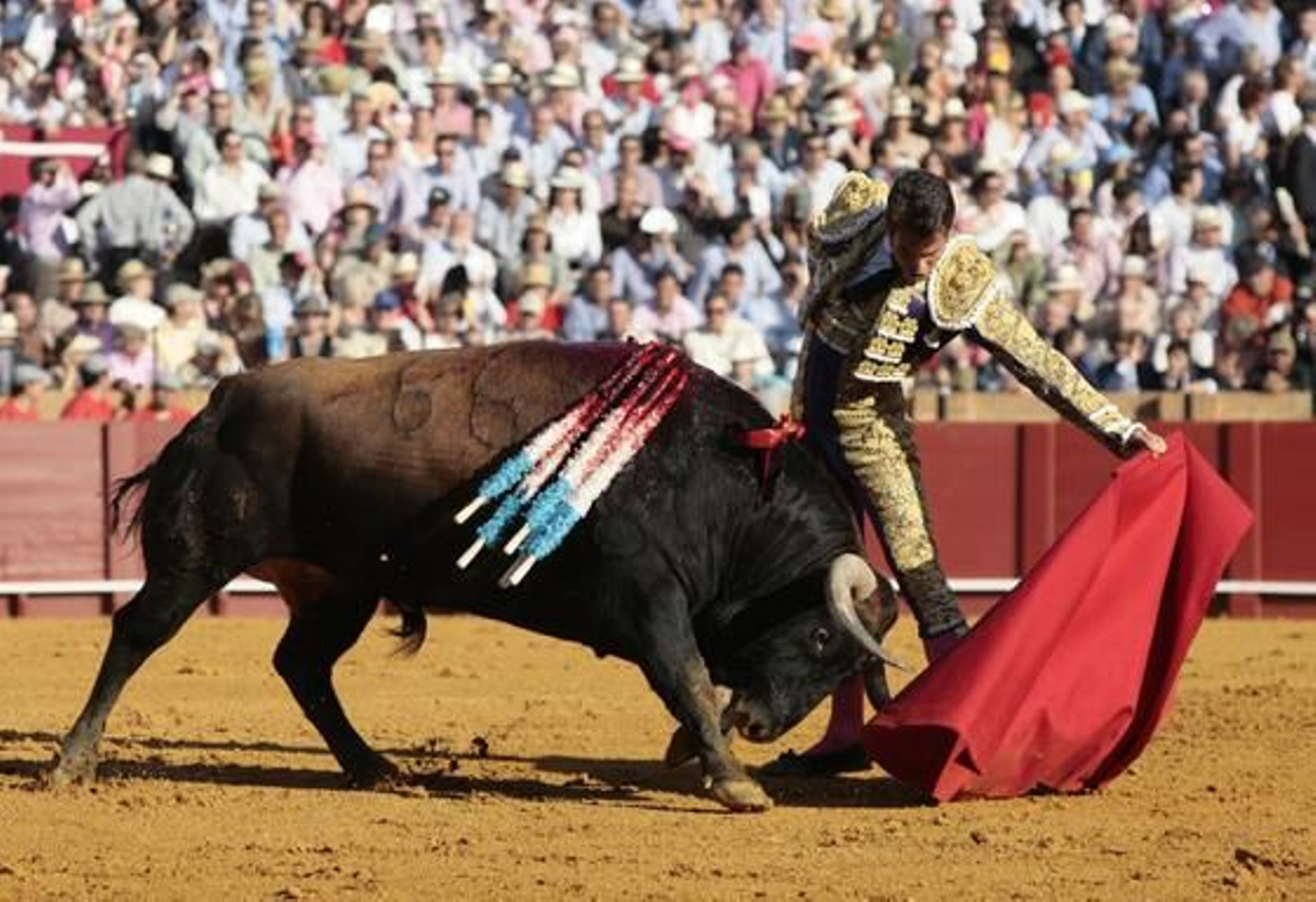 Manzanares con el segundo de la tarde en la treceava del abono de La Maestranza.

Foto: Juan Carlos Muñoz