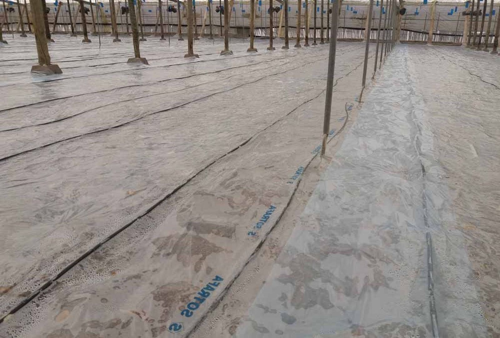 Desinfección de suelos en invernaderos.