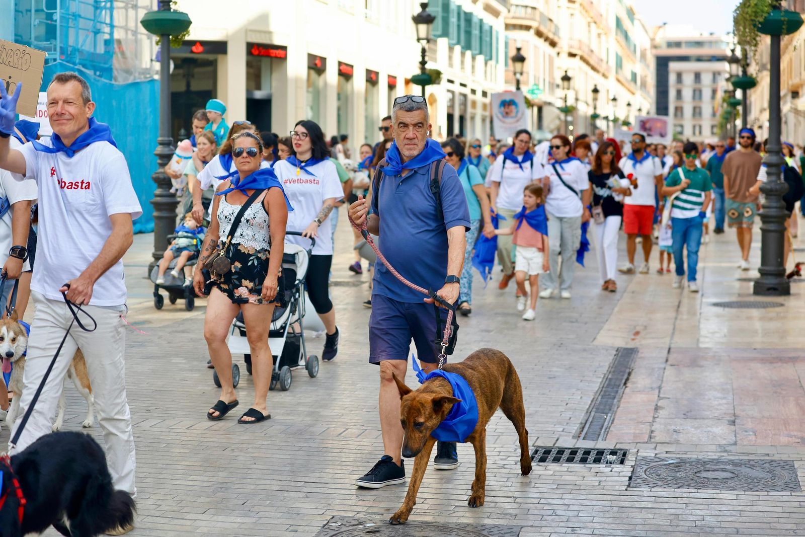 Veterinarios y dueños de mascotas toman calle Larios contra la restricción del uso de medicamentos, en imágenes