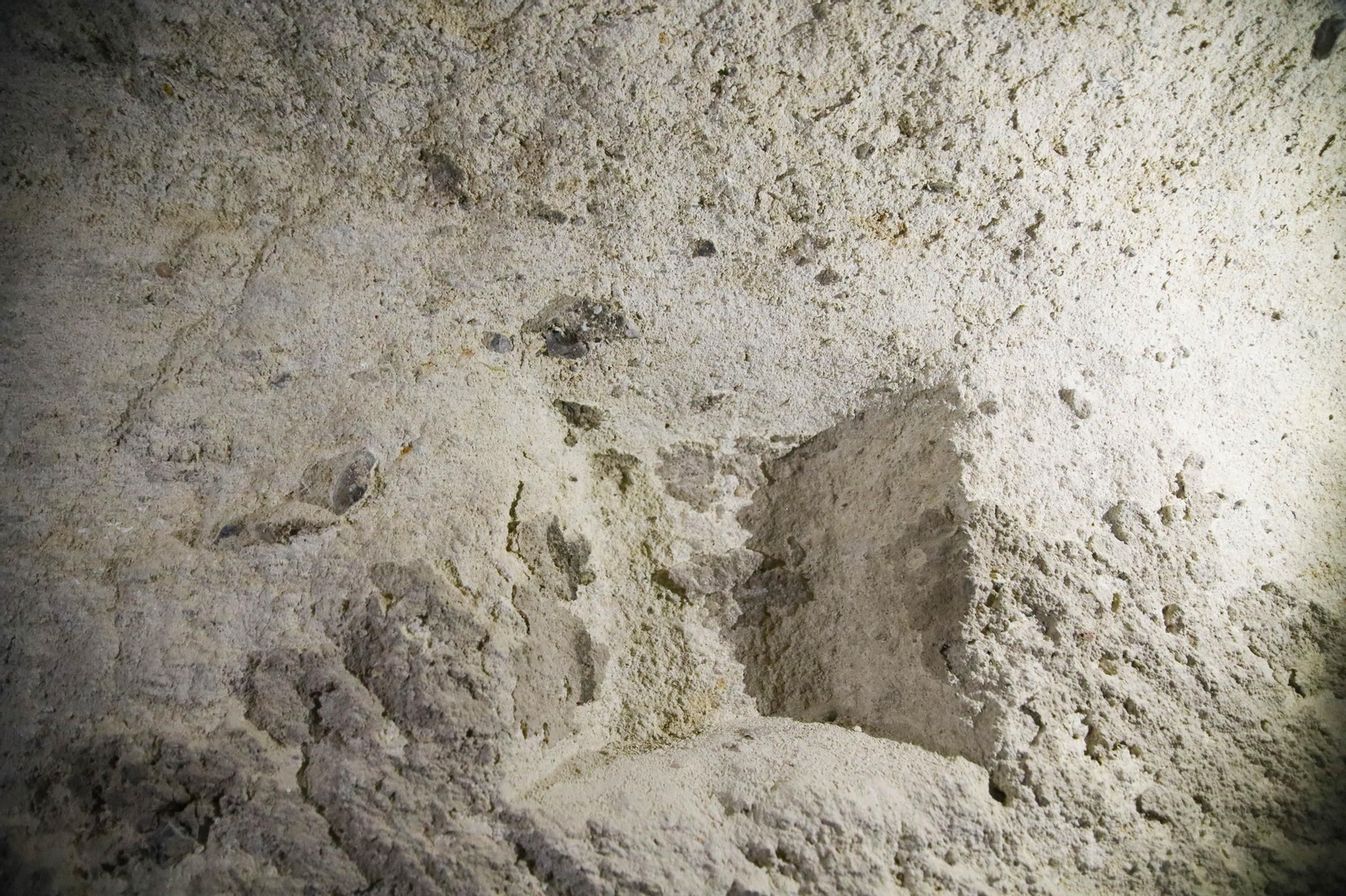 Imágenes de los refugios de la guerra civil descubierto en el barrio de Las Trincheras