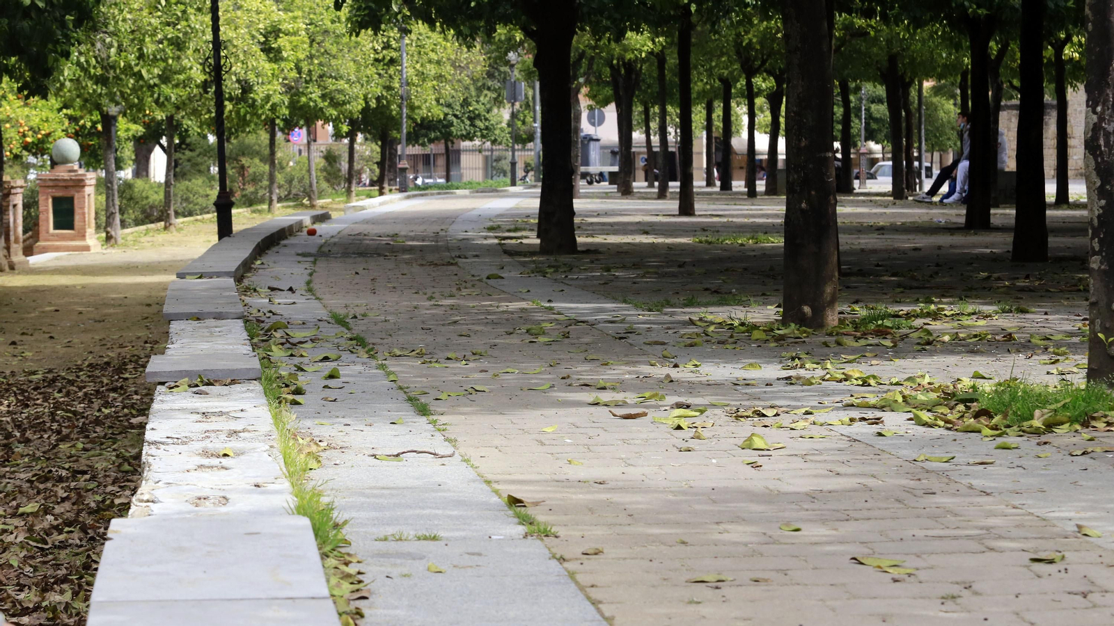 Abandono en la Alameda Vieja