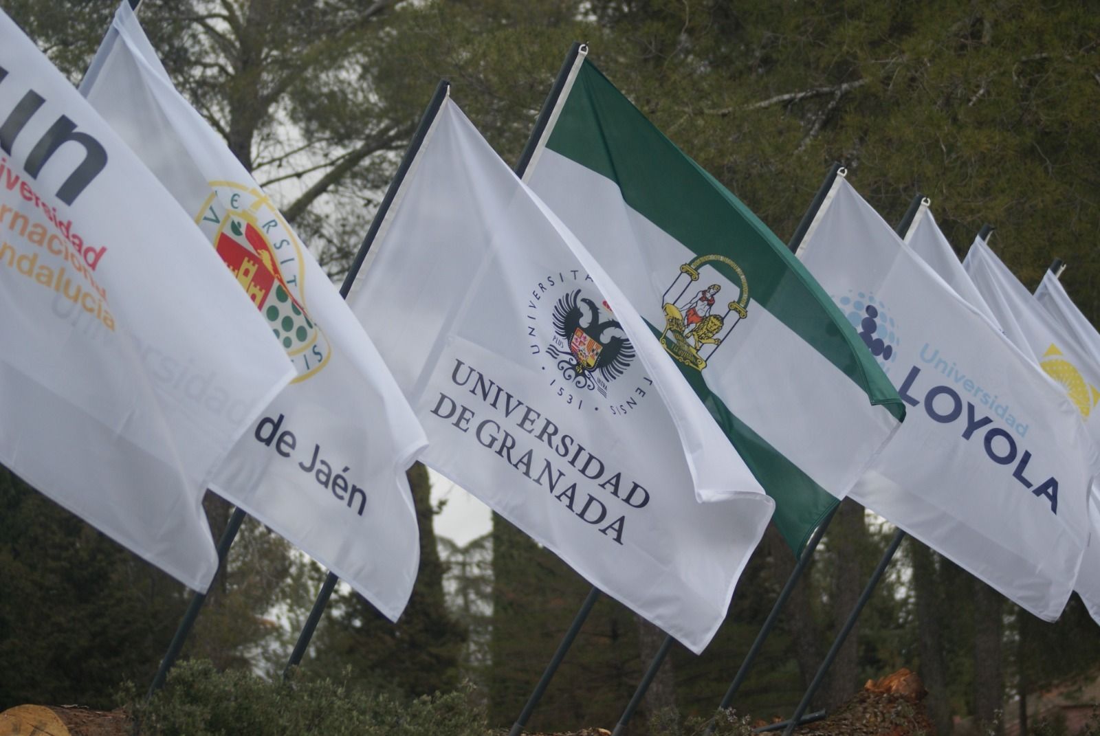 Las imágenes del Campeonato de Andalucía Universitario en Granada