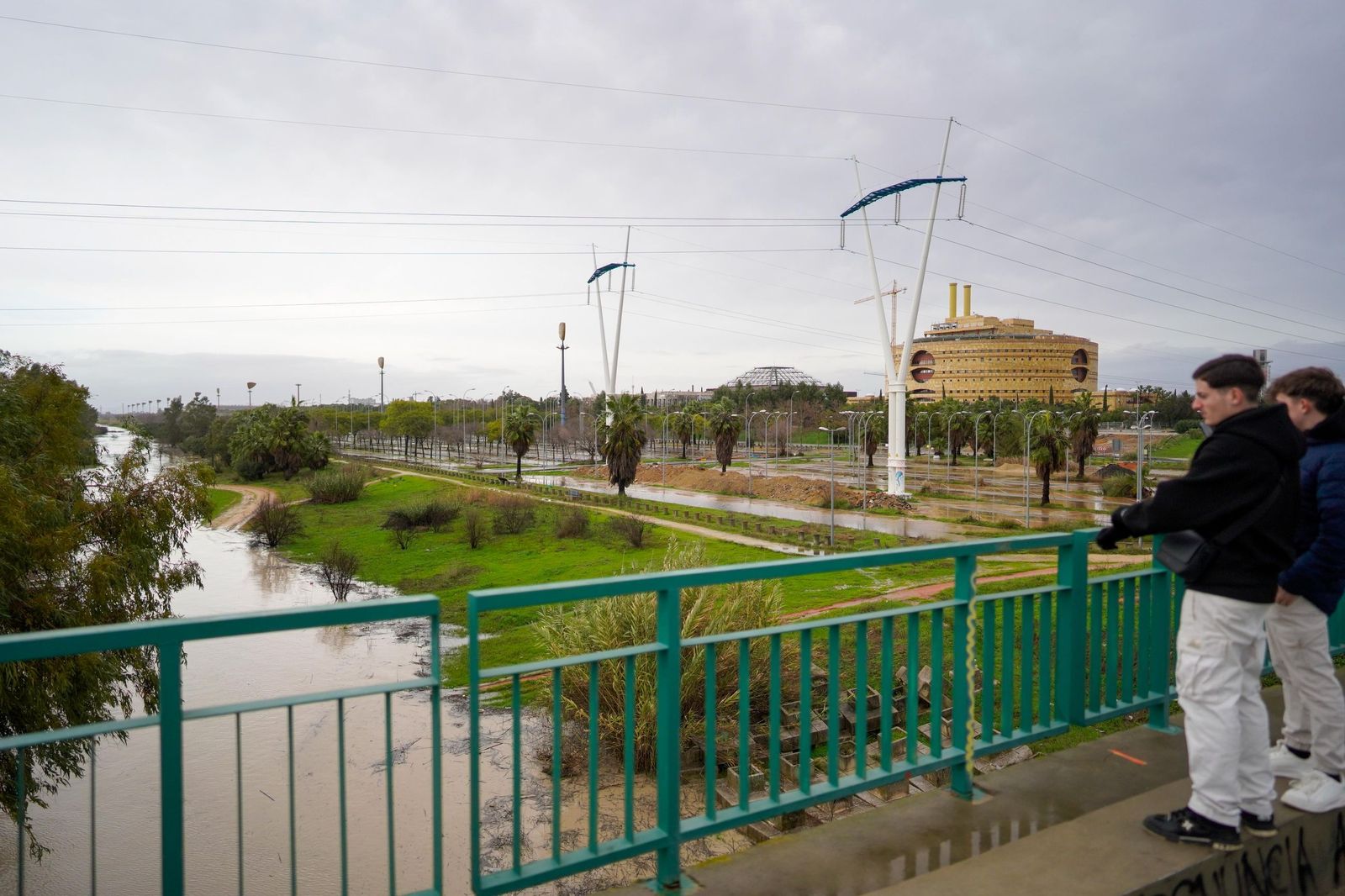 WhatsApp Image 2026-02-07 at 16.49.36