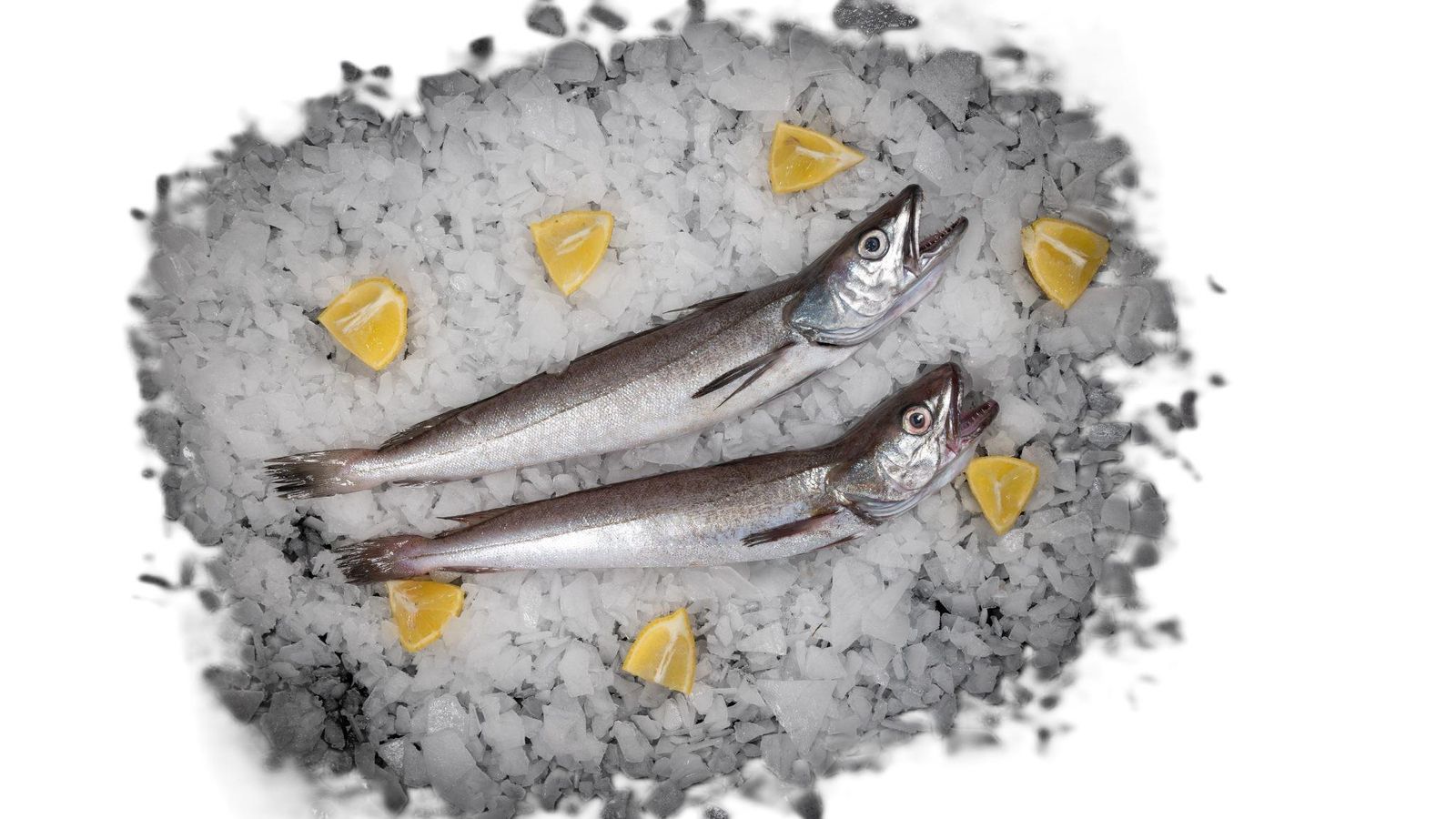 pescadilla en el escaparate de un restaurante motrileño