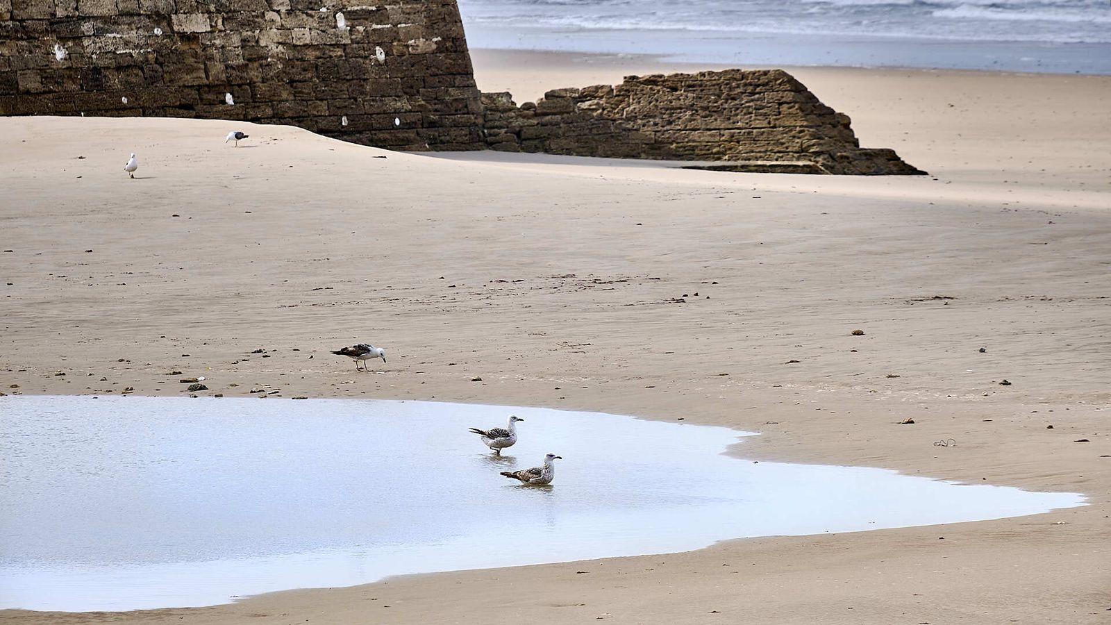 Estado de las playas de la capital