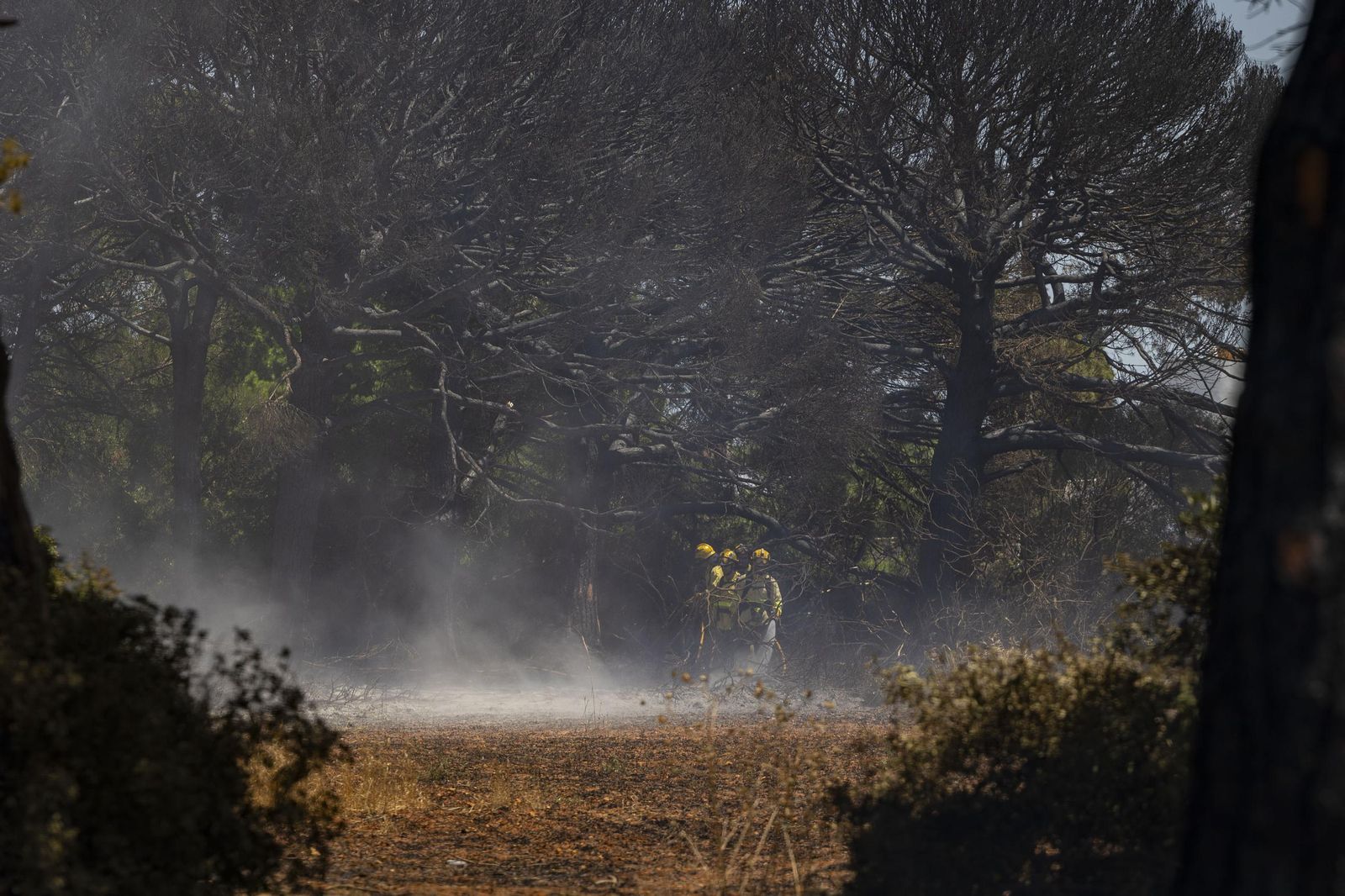 Las imágenes del incendio declarado junto a Roche, en Conil