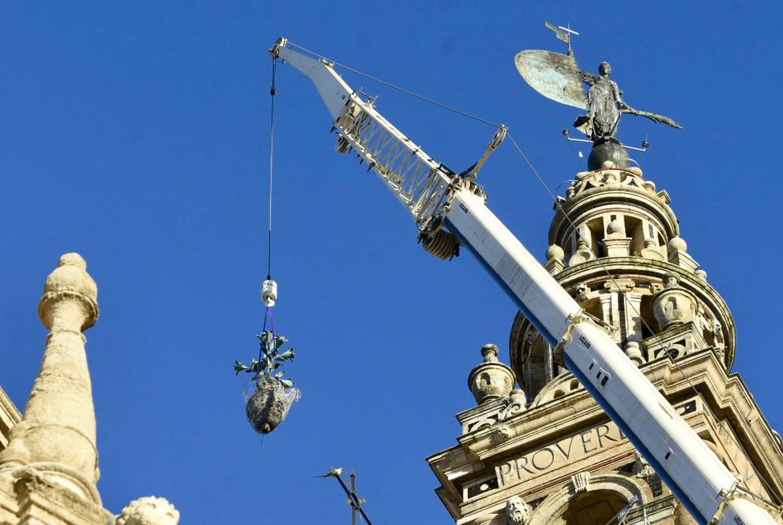 La retirada de las jarras de la azucenas de la Giralda