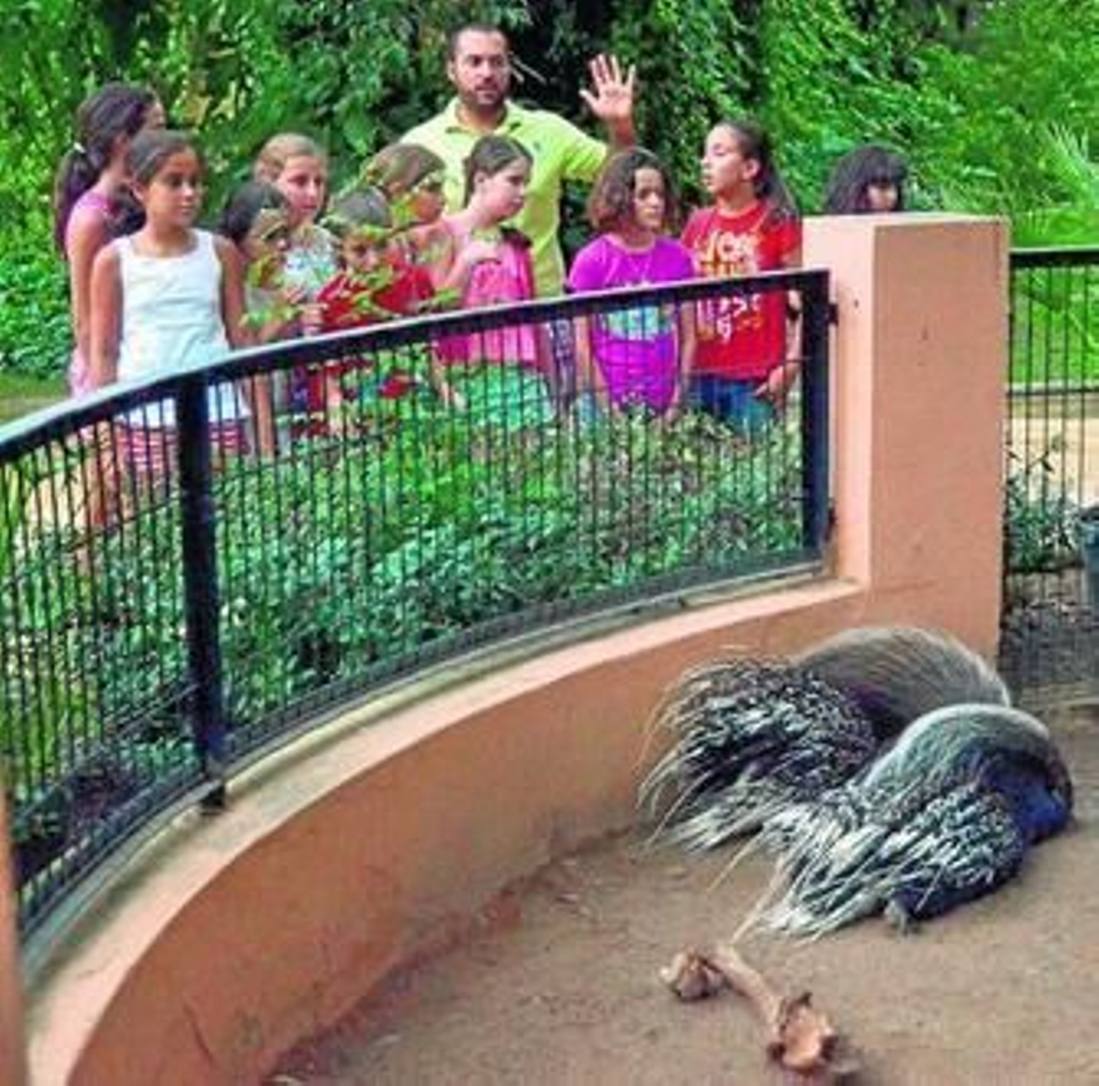 Un grupo de niños con un monitor en una pasada edición de 'Noches en el Zoo' ante dos aves que duermen.
