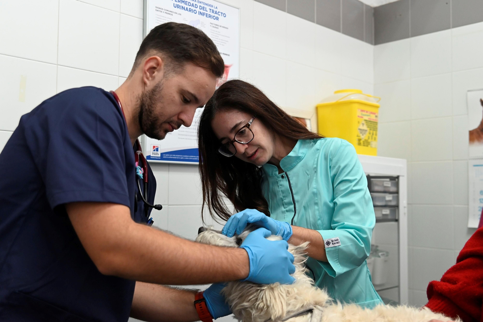 El Hospital Veterinario de la Universidad de Córdoba, en imágenes