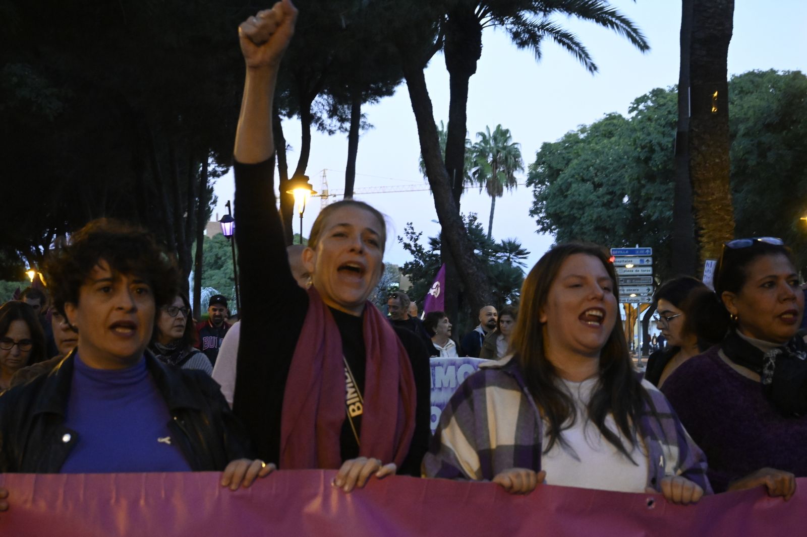 Manifestación del 25N en Imágenes.