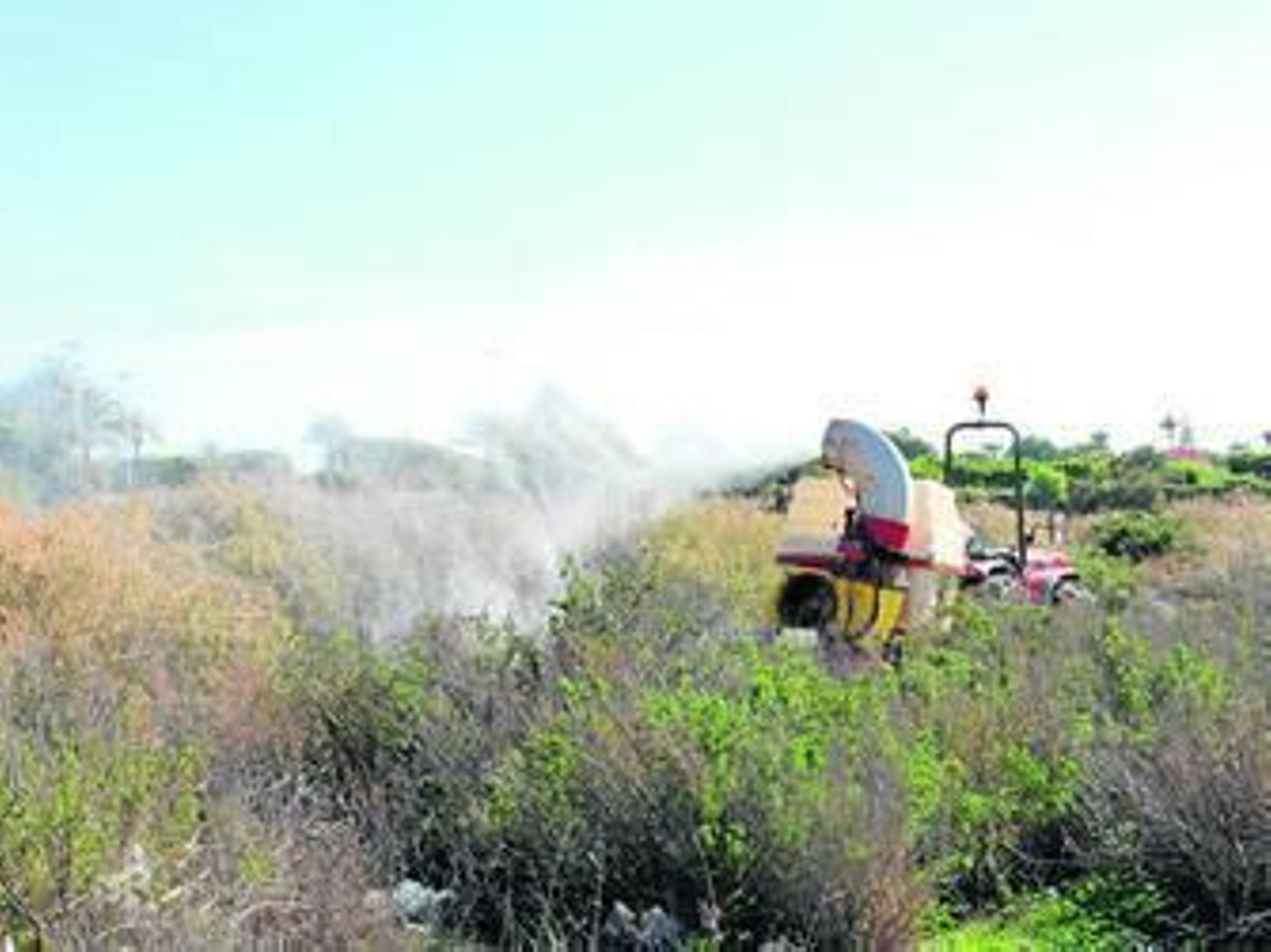 Tareas de fumigación que se están realizando estos días en Roquetas de Mar.