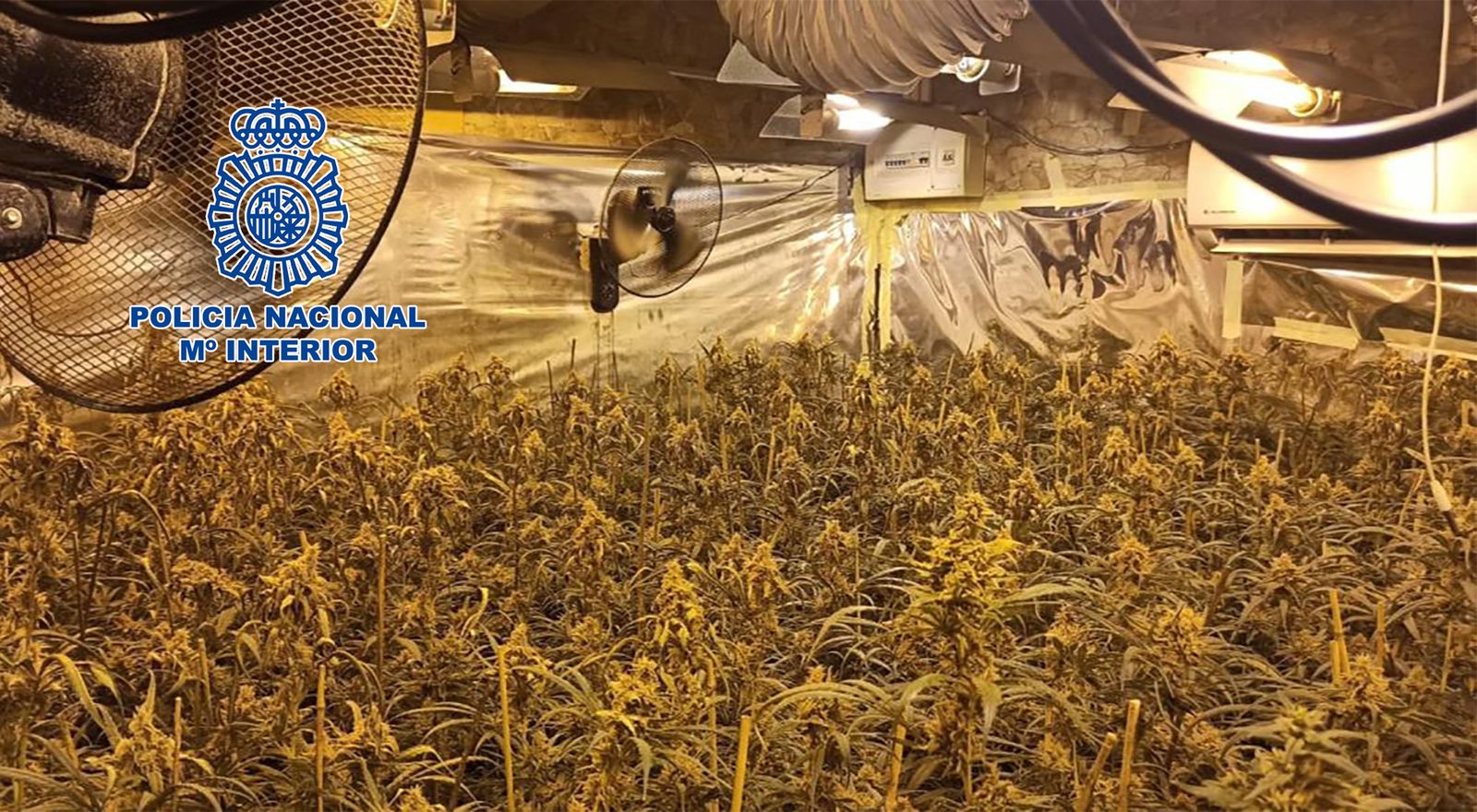 Una de las plantaciones indoor de marihuana desmantelada en Sanlúcar.