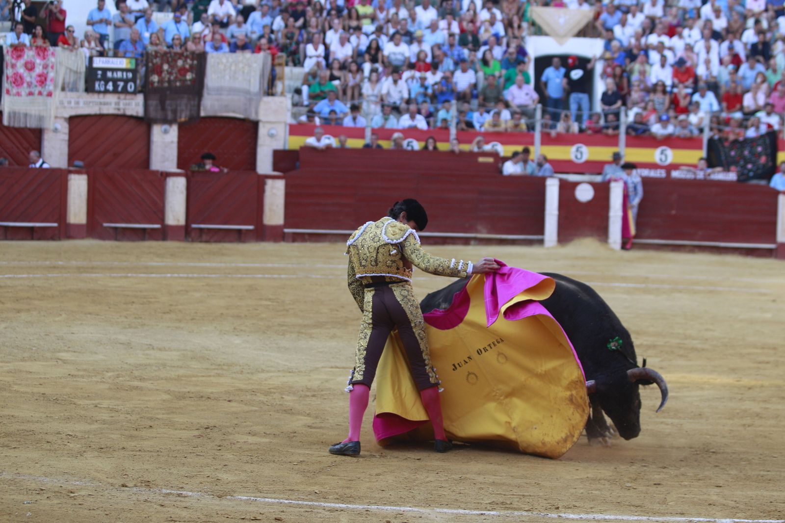 Imágenes del triunfo del torero almeriense Jorge Martínez el día de su alternativa