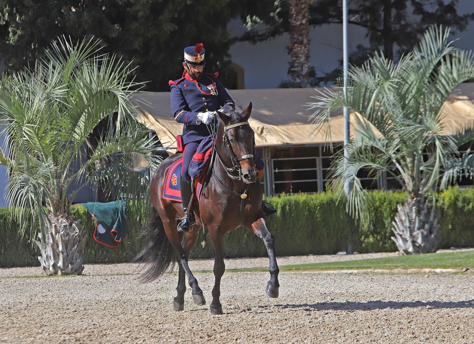 XVII Campeonato de Andalucía de Doma de Alta Escuela