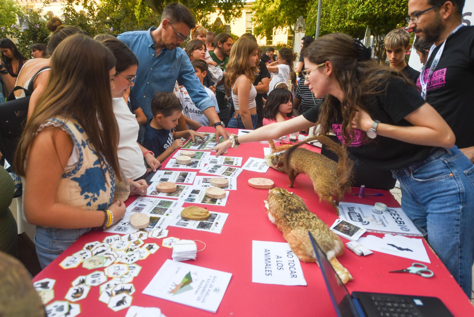 Las mejores fotos de la Feria de los Ingenios, el cierre de la Noche de los Investigadores en Córdoba