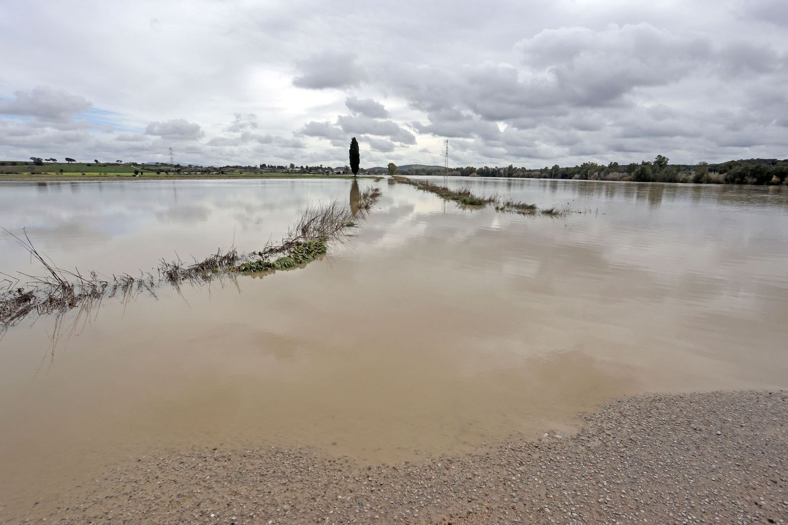 El Guadalete comienza a bajar su nivel poco a poco por la zona rural de Jerez