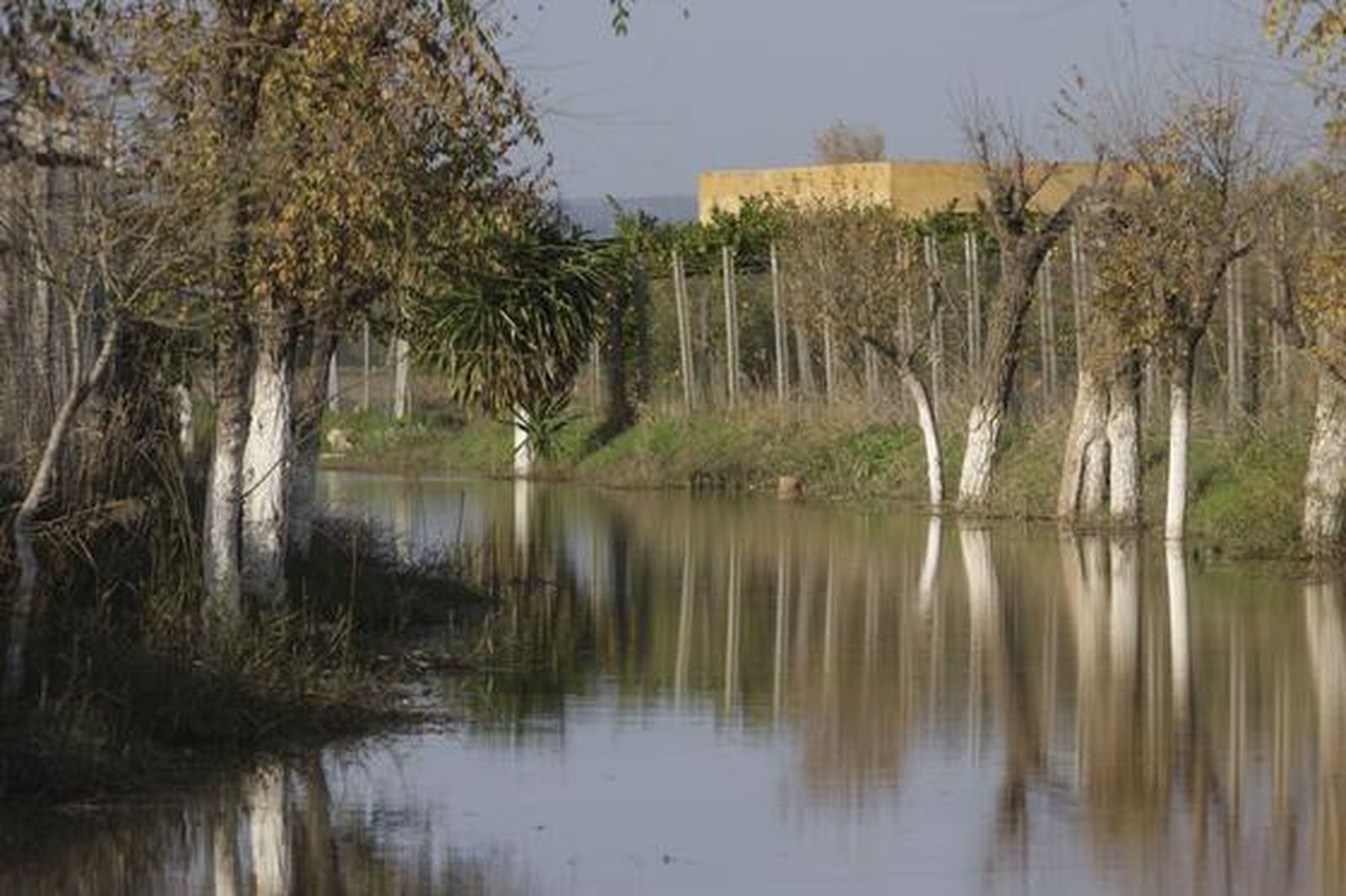 Foto: José Ángel García