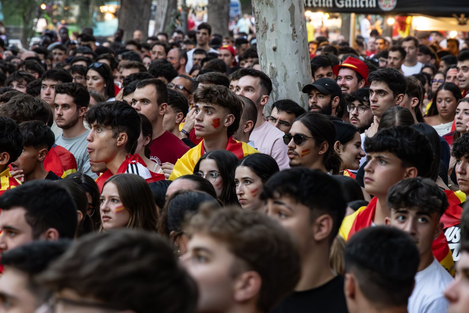 La euforia jiennense por la victoria de España, imágenes