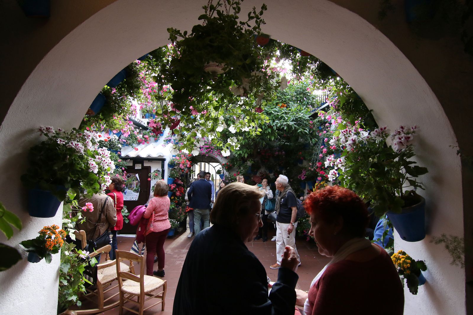 Los patios ganadores en el concurso de los Patios de Córdoba 2017