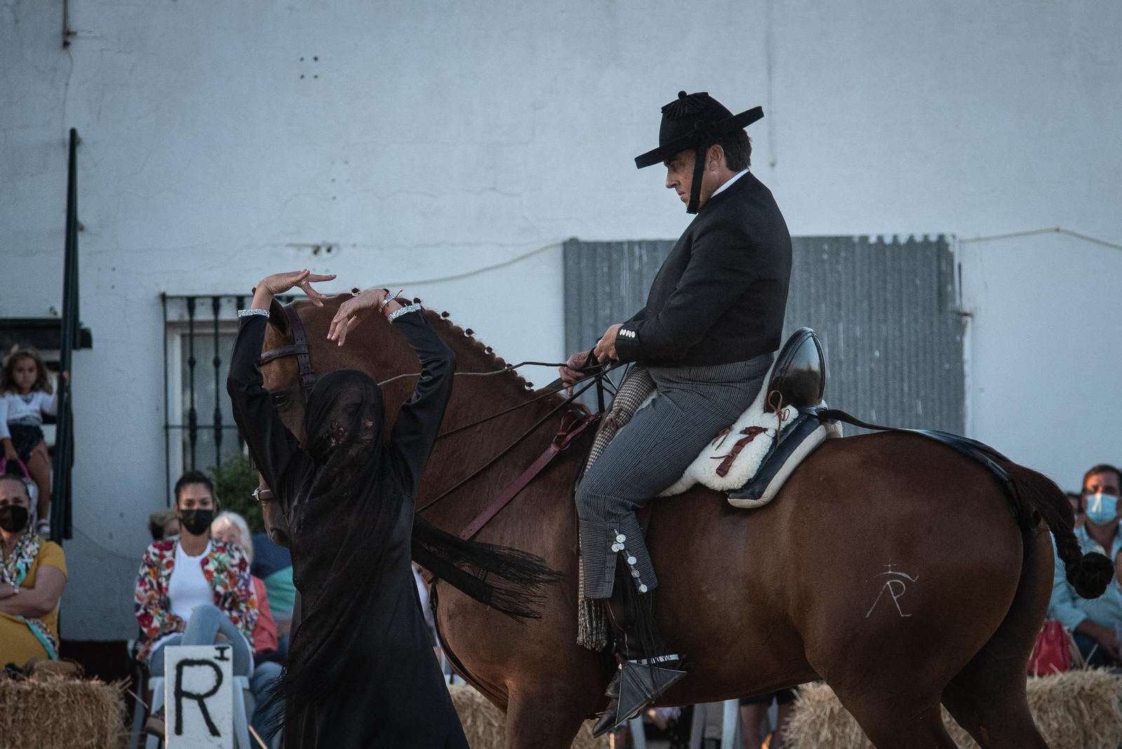 El espectáculo Flamencab en imágenes