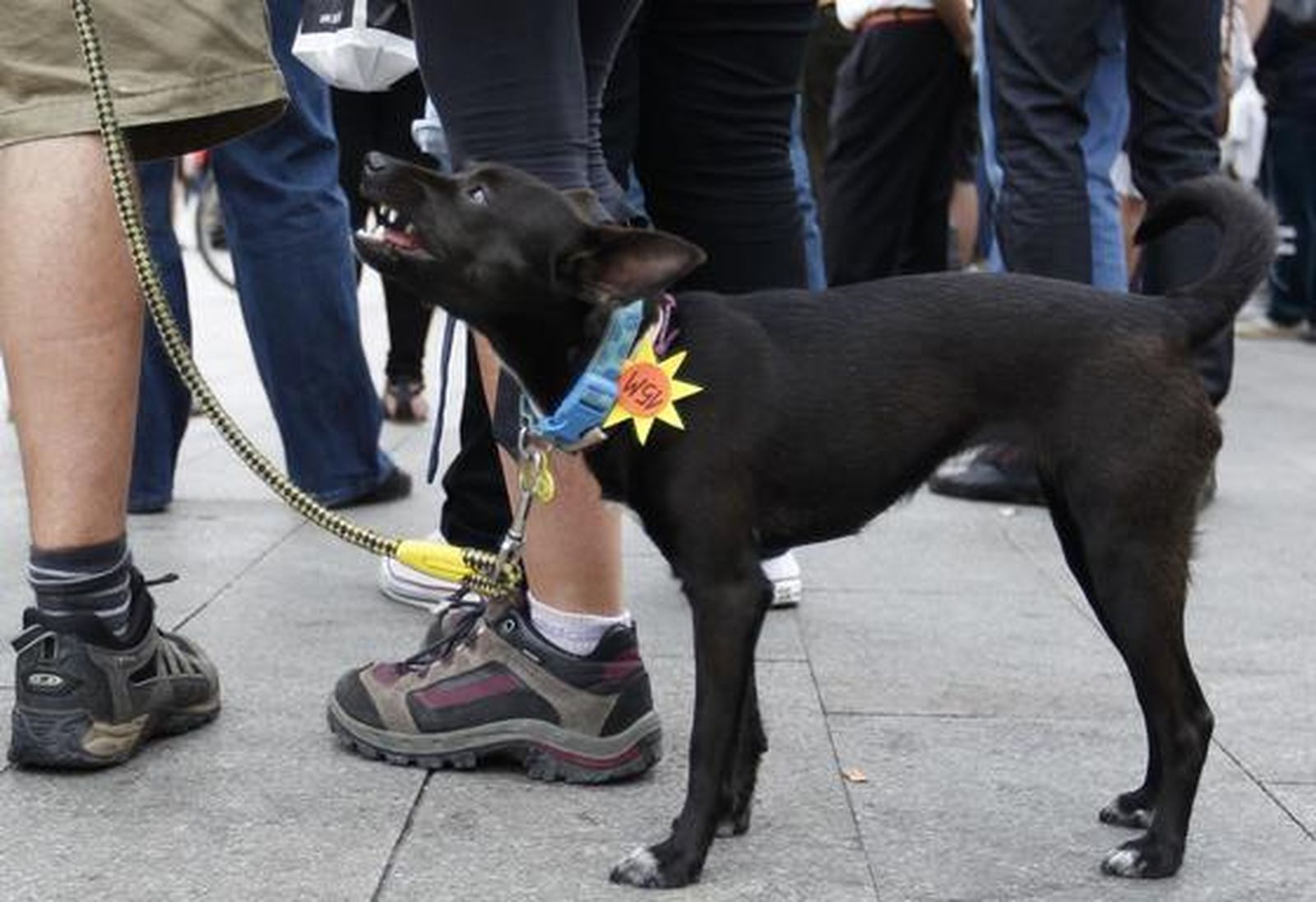 Foto: EFE · Reuters · AFP