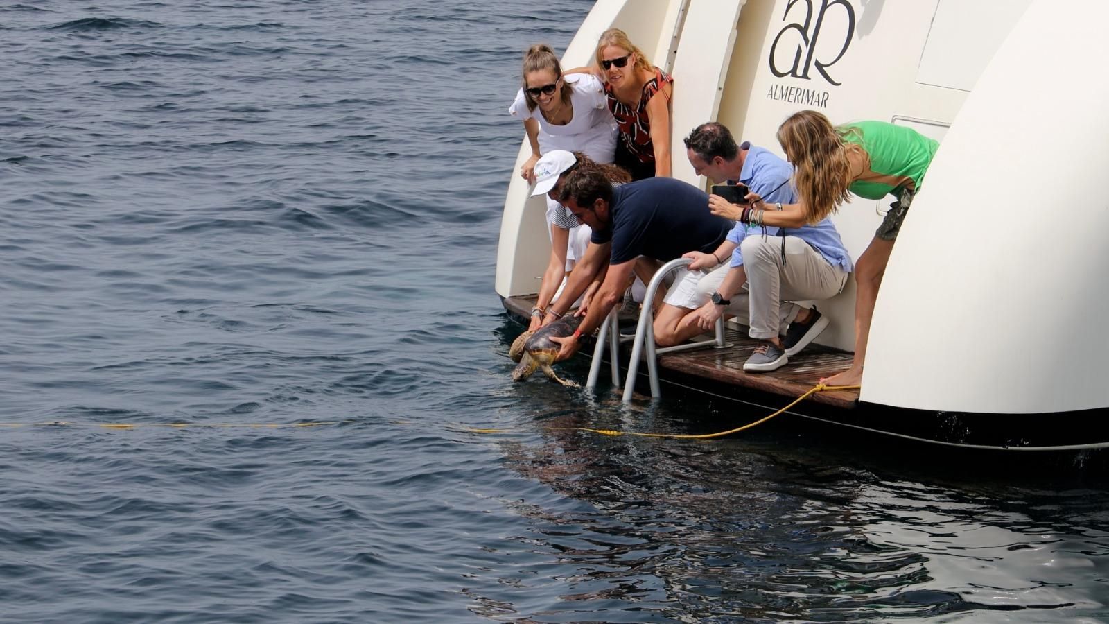 La tortuga ha sido puesta en libertad en aguas ejidenses.