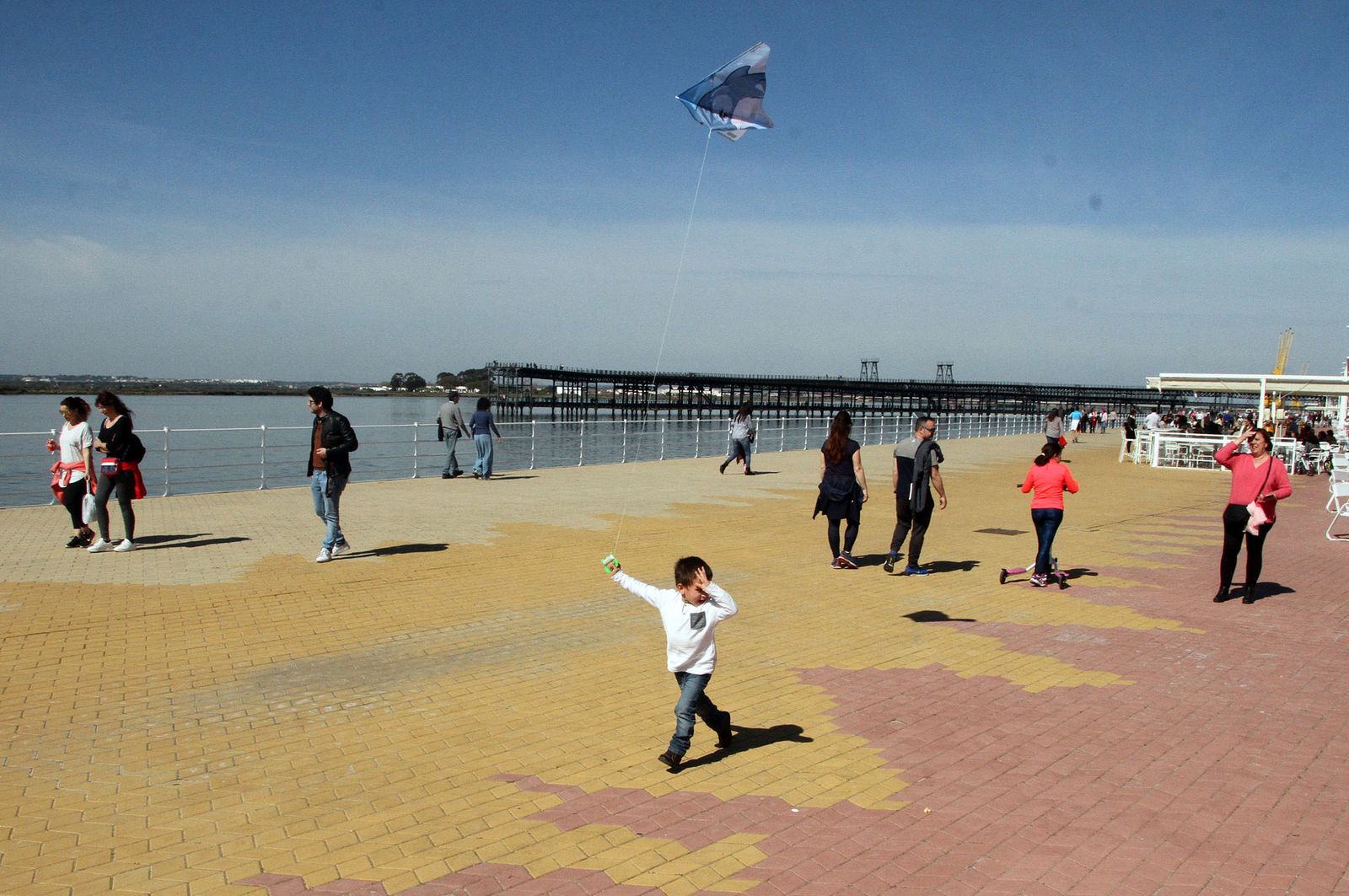 Ambiente primaveral en el día de Andalucía, en imágenes